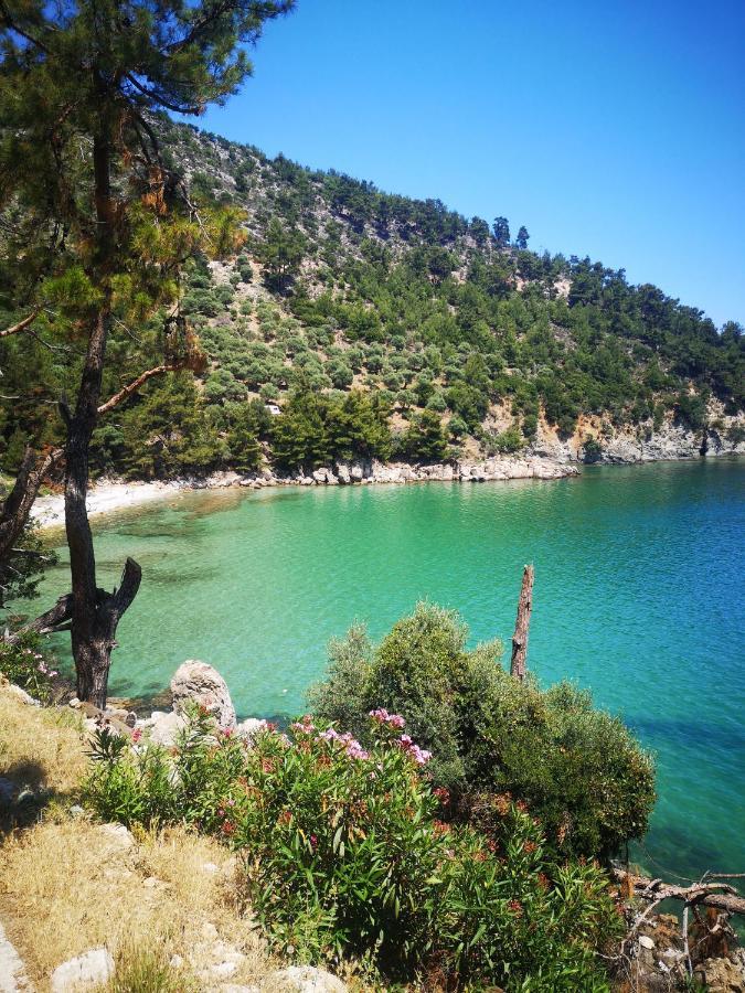 فيلا Bel Air سكالا بوتامياس المظهر الخارجي الصورة